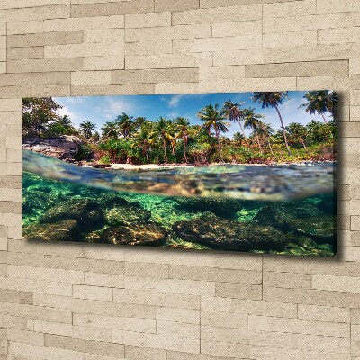 Foto op canvas Tropisch strand
