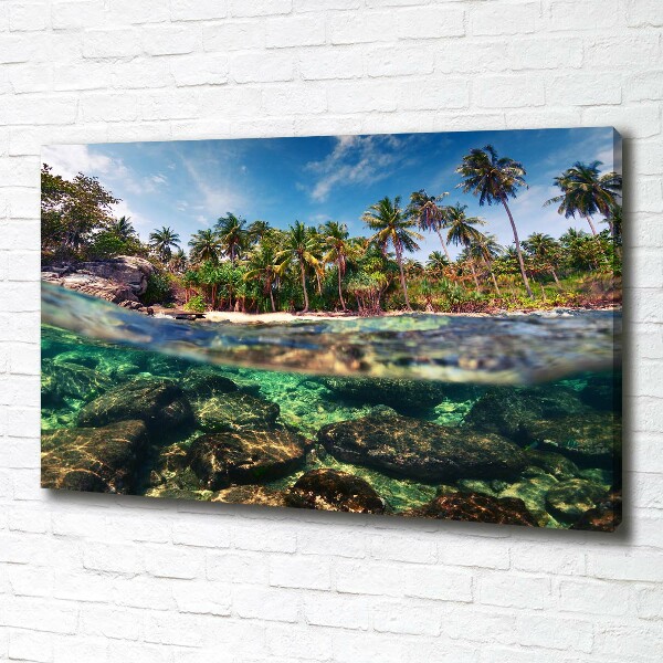 Foto op canvas Tropisch strand