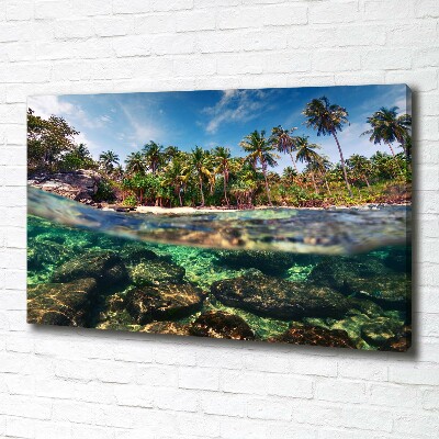 Foto op canvas Tropisch strand