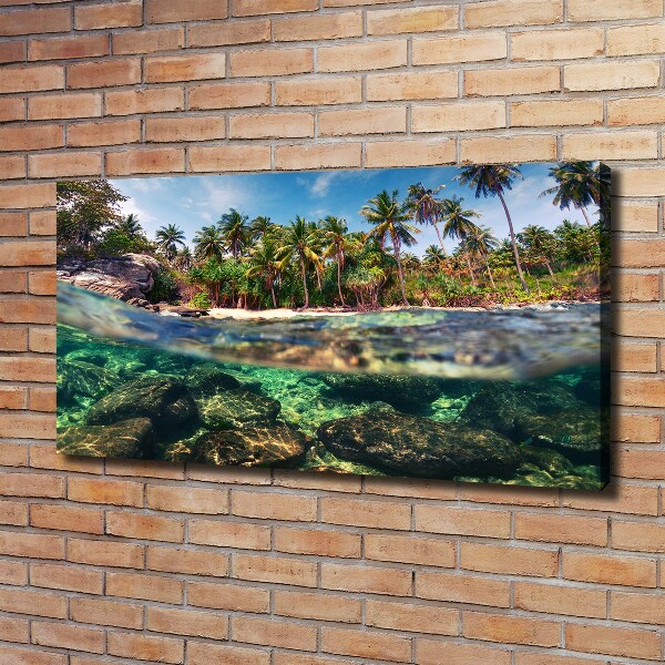 Foto op canvas Tropisch strand