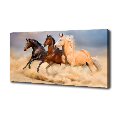 Canvas foto Paarden in galop
