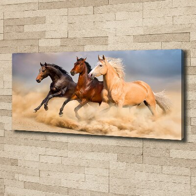 Canvas foto Paarden in galop