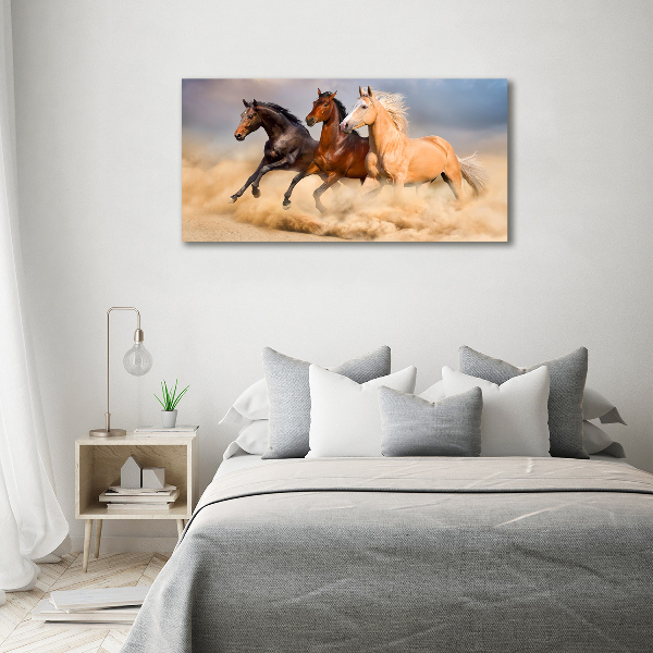Canvas foto Paarden in galop