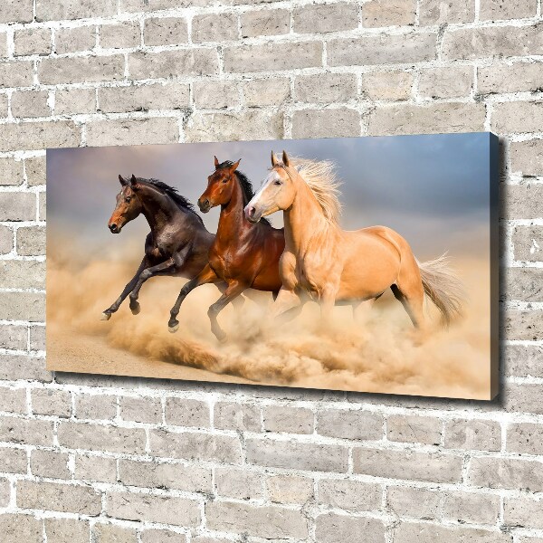 Canvas foto Paarden in galop