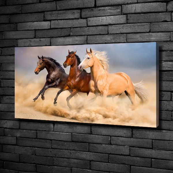Canvas foto Paarden in galop