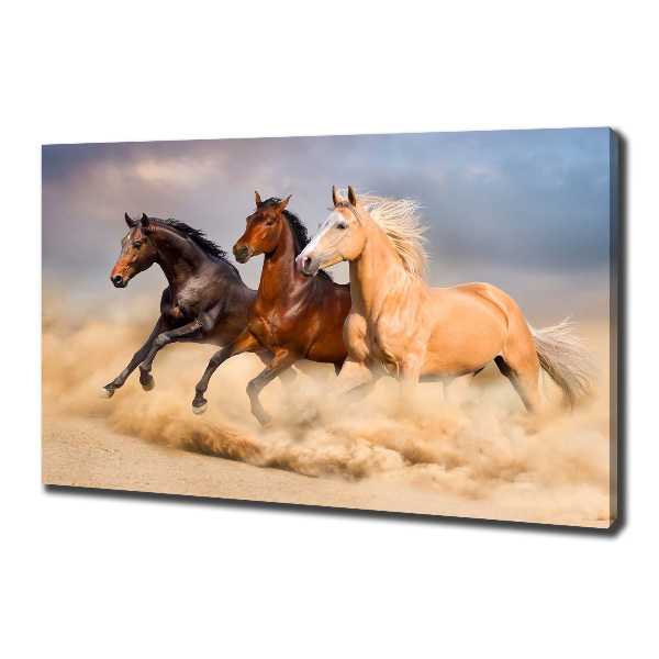 Canvas foto Paarden in galop