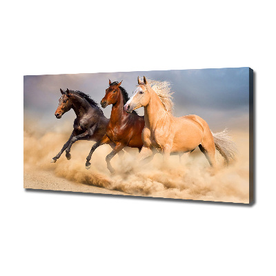Canvas foto Paarden in galop