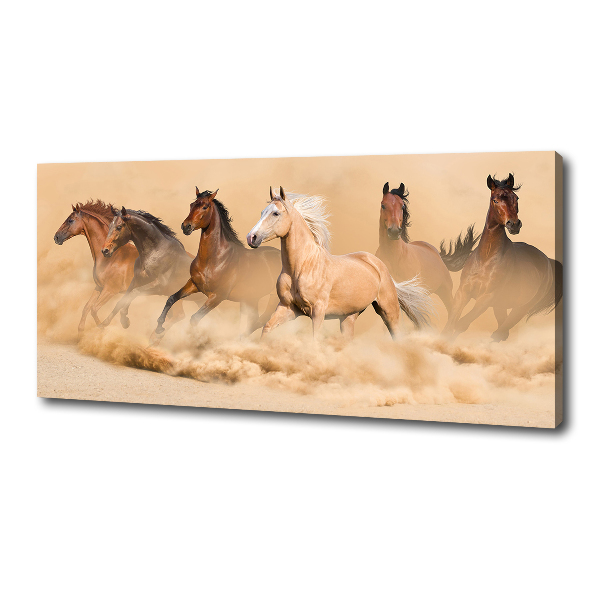 Canvas schilderij Woestijnpaarden