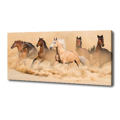 Canvas schilderij Woestijnpaarden