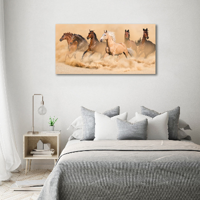 Canvas schilderij Woestijnpaarden