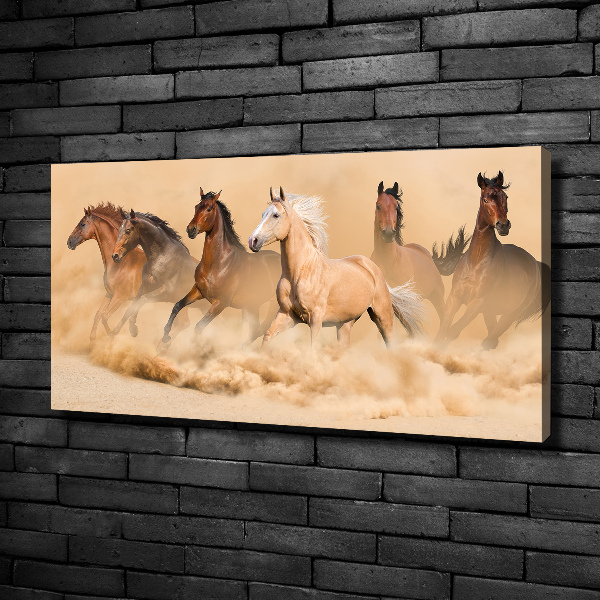 Canvas schilderij Woestijnpaarden