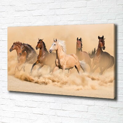 Canvas schilderij Woestijnpaarden