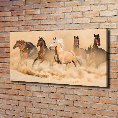 Canvas schilderij Woestijnpaarden