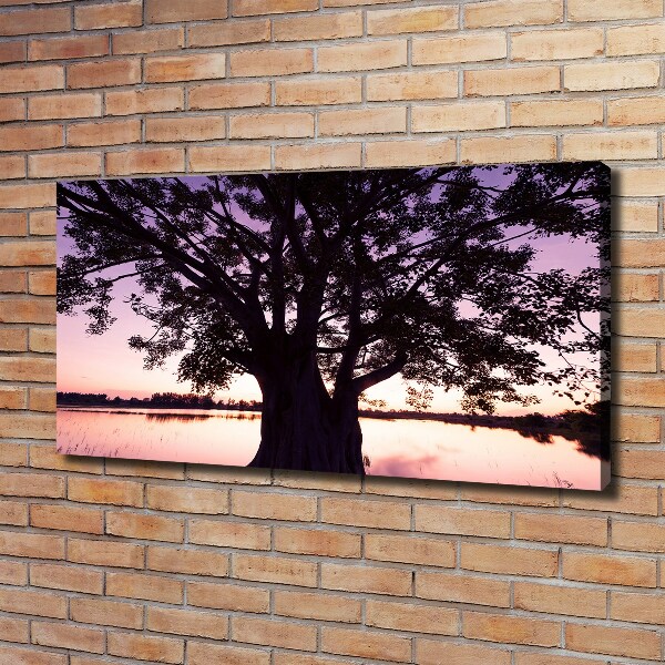 Schilderij op canvas Boom en meer