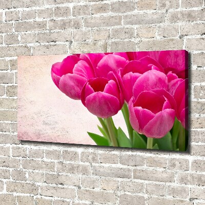 Foto canvas Roze tulpen
