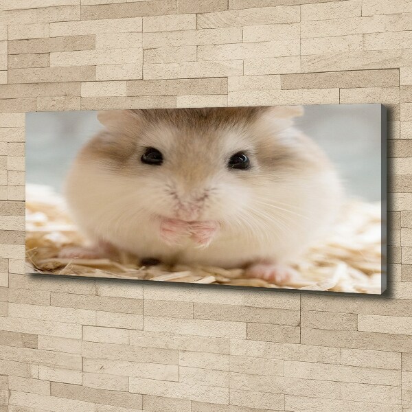 Schilderij op canvas Hamster