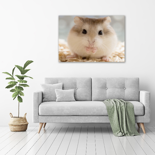 Schilderij op canvas Hamster