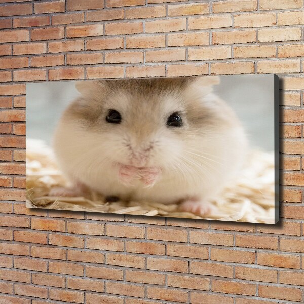 Schilderij op canvas Hamster