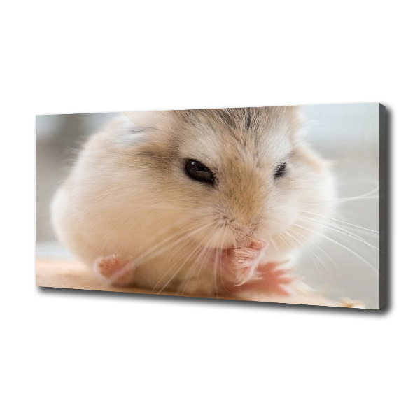 Foto canvas Hamster