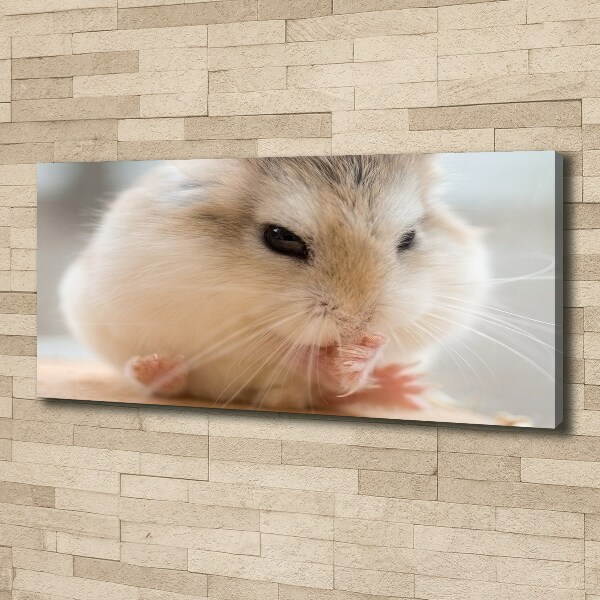 Foto canvas Hamster