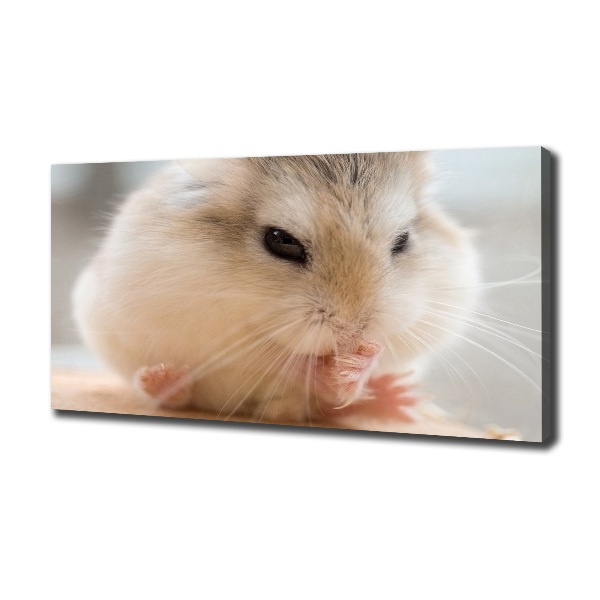 Foto canvas Hamster