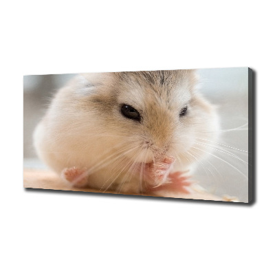Foto canvas Hamster