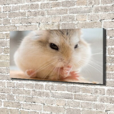 Foto canvas Hamster