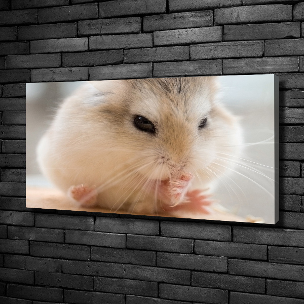 Foto canvas Hamster