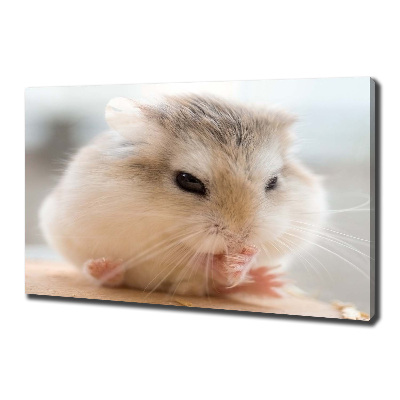 Foto canvas Hamster