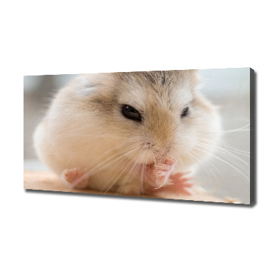 Foto canvas Hamster