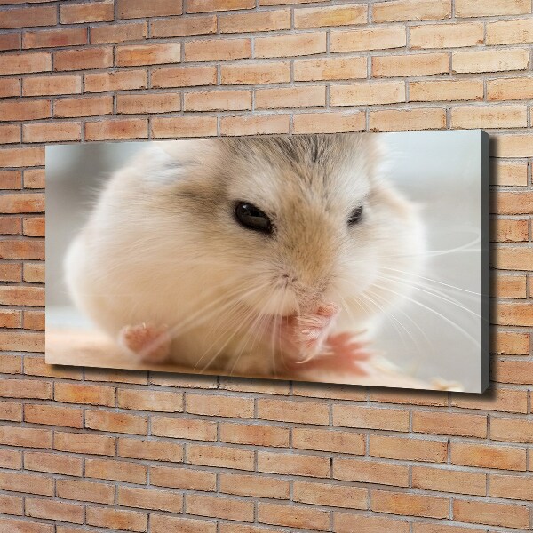 Foto canvas Hamster