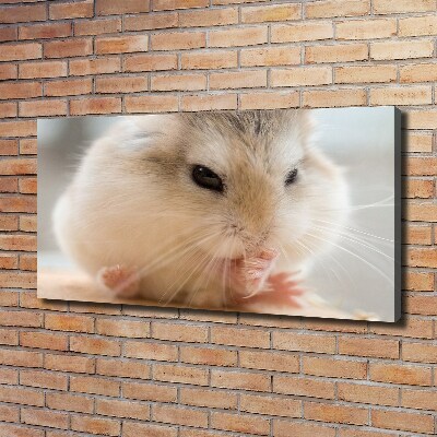 Foto canvas Hamster
