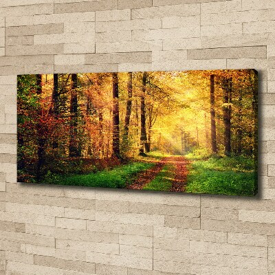 Canvas foto Bos in de herfst