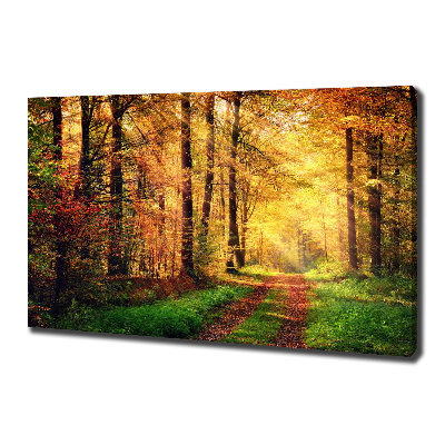 Canvas foto Bos in de herfst