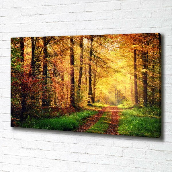 Canvas foto Bos in de herfst
