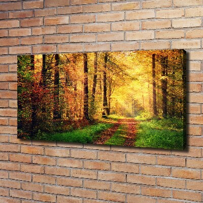 Canvas foto Bos in de herfst
