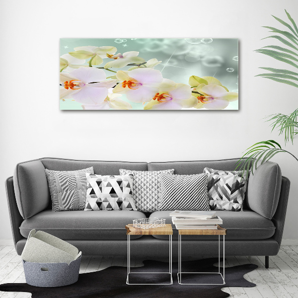 Canvas foto Witte orchidee