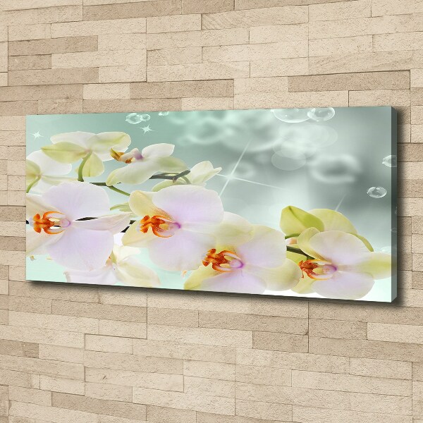 Canvas foto Witte orchidee