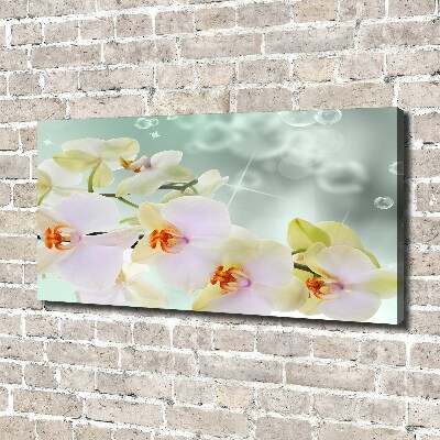 Canvas foto Witte orchidee