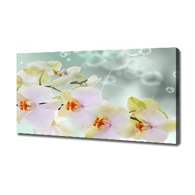 Canvas foto Witte orchidee