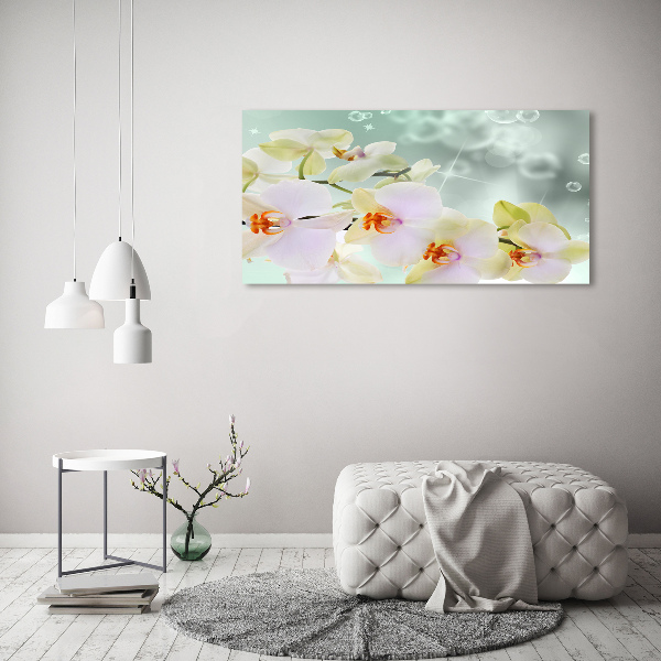 Canvas foto Witte orchidee