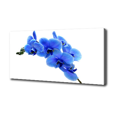 Canvas schilderij Blauwe orchidee