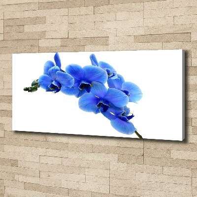 Canvas schilderij Blauwe orchidee