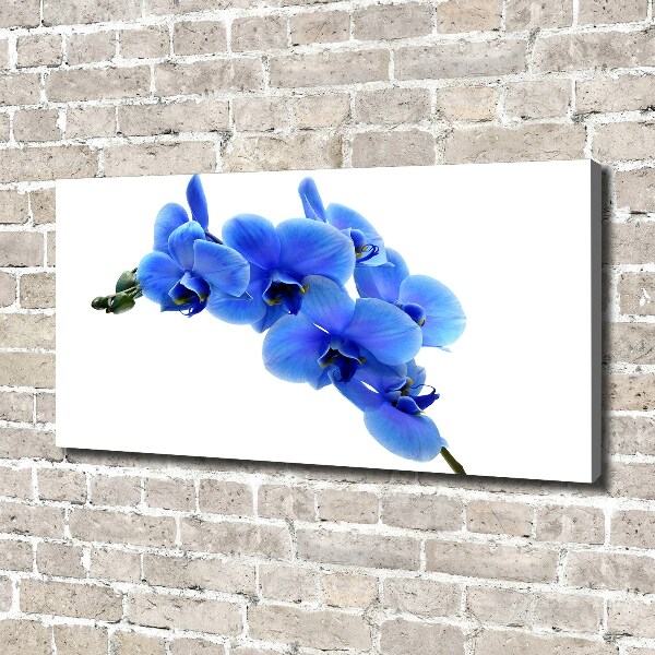 Canvas schilderij Blauwe orchidee