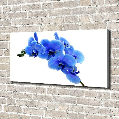 Canvas schilderij Blauwe orchidee