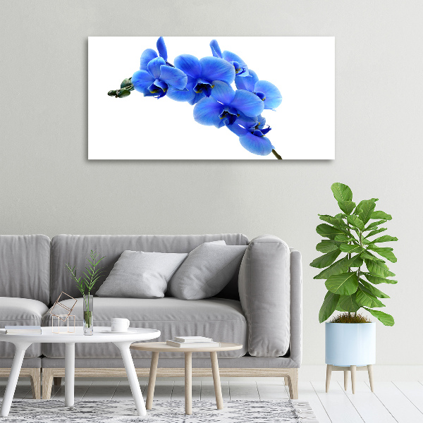Canvas schilderij Blauwe orchidee