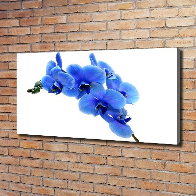 Canvas schilderij Blauwe orchidee
