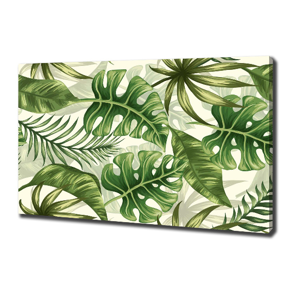 Foto canvas Tropische bladeren