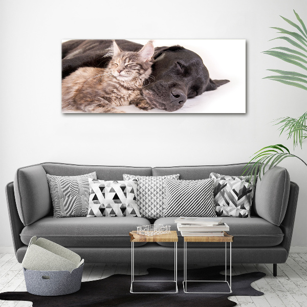 Foto op canvas Hond met kat