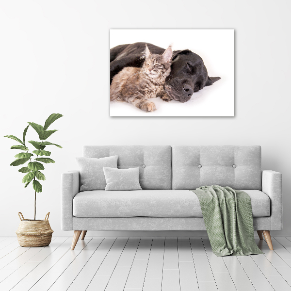 Foto op canvas Hond met kat
